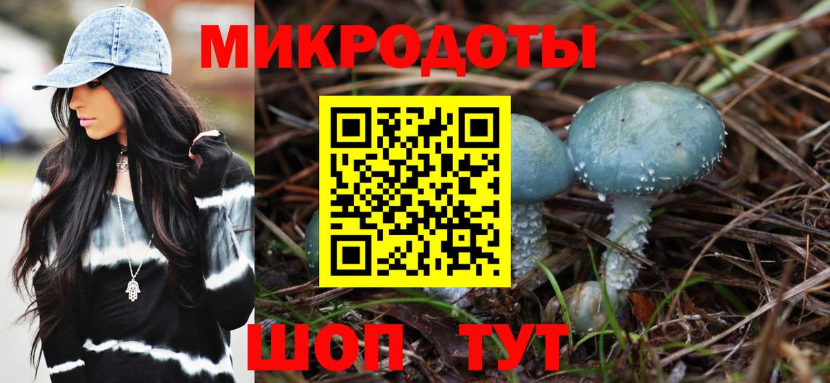 Галлюциногенные грибы Magic Shrooms Кингисепп