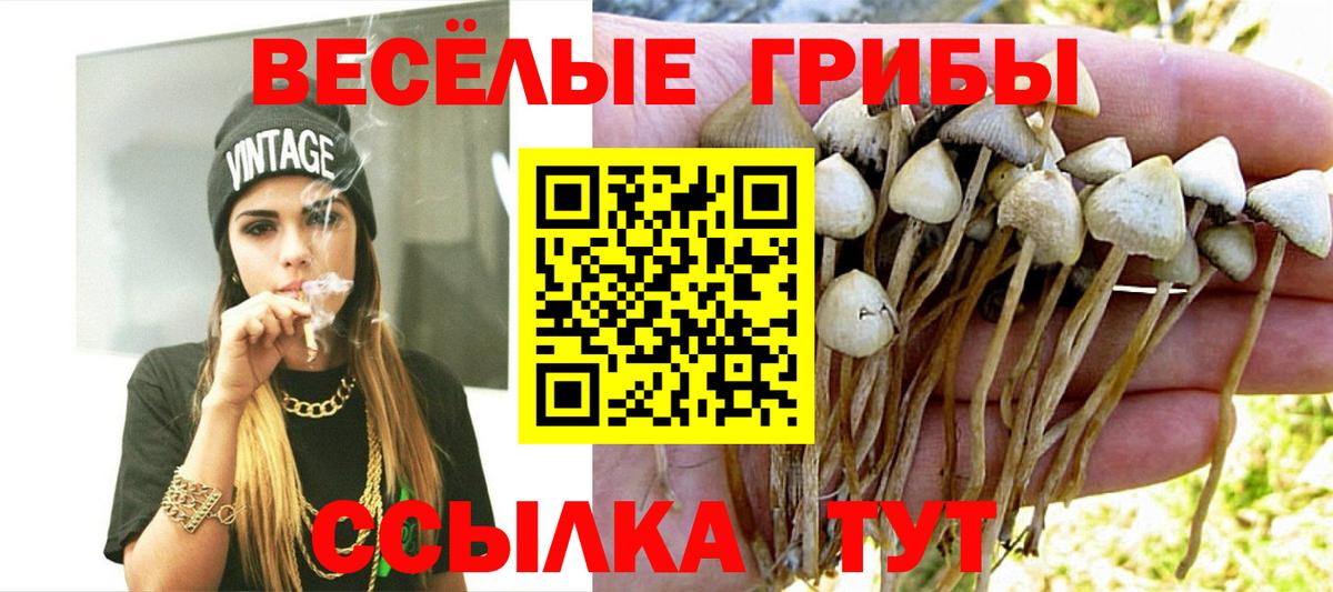 Псилоцибиновые грибы GOLDEN TEACHER  Вход с VPN  Кингисепп 