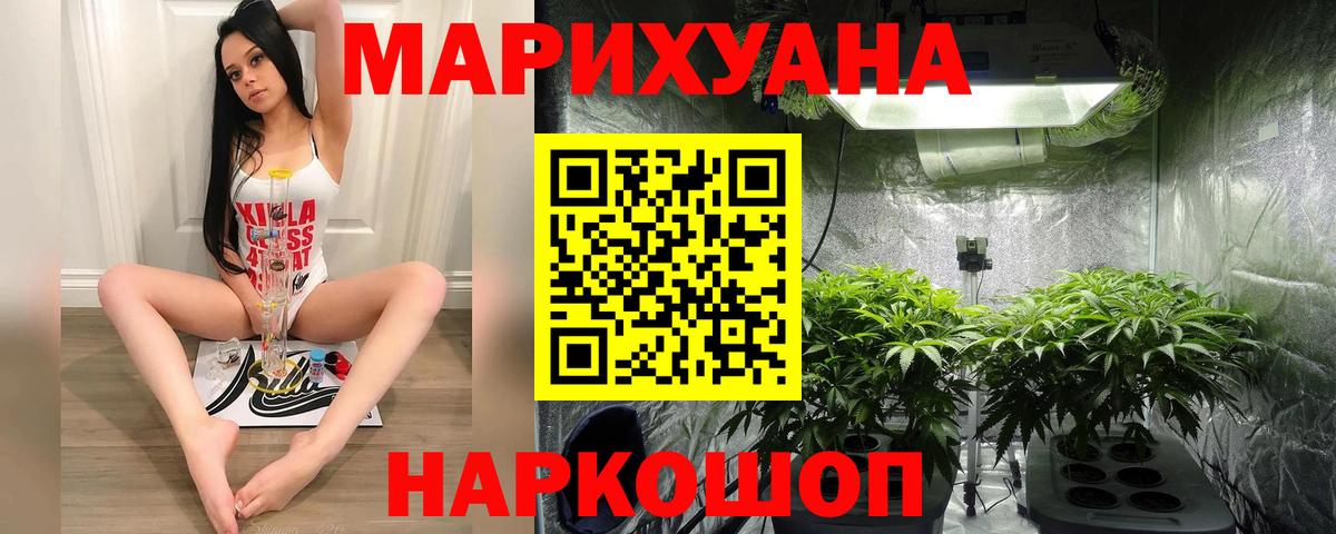 Конопля SATIVA & INDICA  Вход с VPN  Кингисепп  Бошки марихуана индика  Марихуана VHQ  Бошки Шишки White Widow 