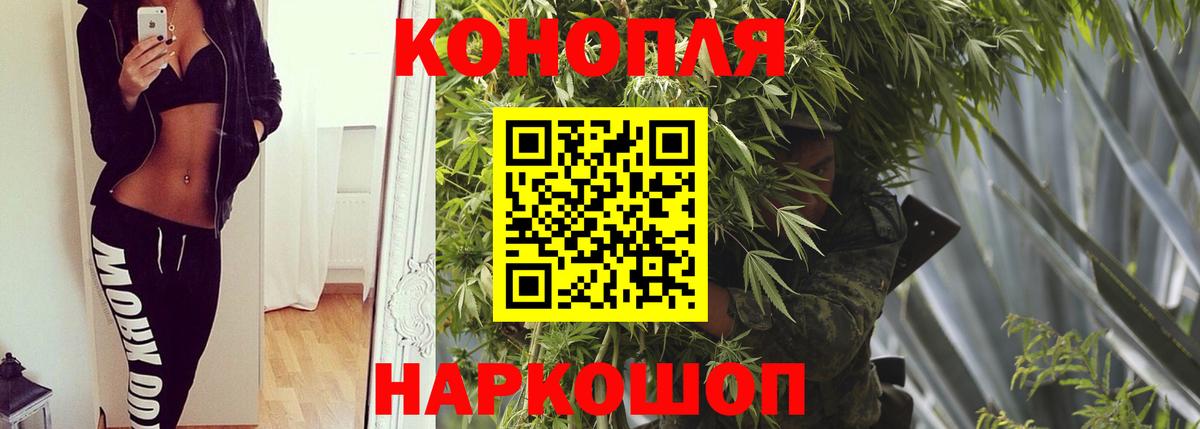 Марихуана OG Kush Кингисепп